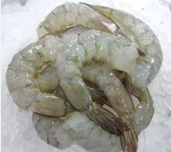 41/50  P&amp;D SOUTH AMERICA  IQF SHRIMP - 14 X 2 LB /CASES
