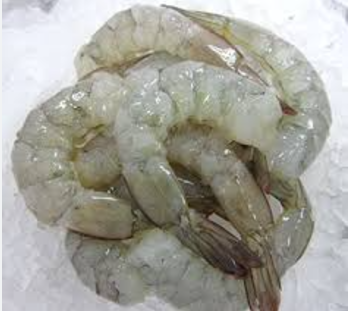 41/50  P&amp;D SOUTH AMERICA  IQF SHRIMP - 10 X 2 LB /CASES