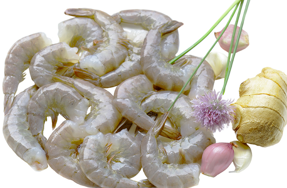 61/70 HLSO SOUTH AMERICA WHITE SHRIMP 10 X 5LB/CASE