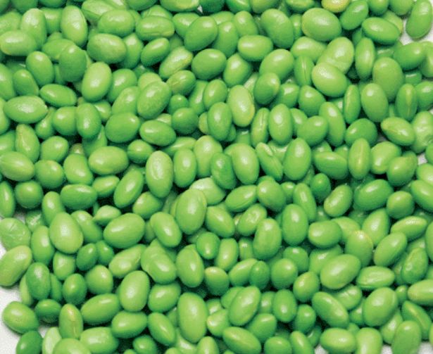 EDAMAME SHELLED 24-1XLBS/CASE