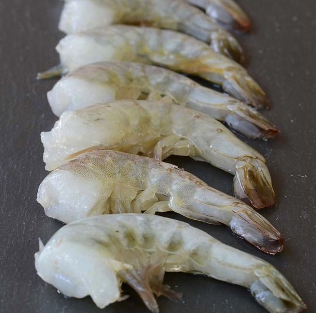 21/25 HLSO SOUTH AMERICA SHRIMP IQF 14 X 2LB/CASE