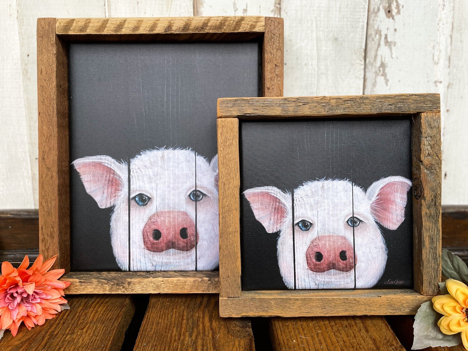 Pig Canvas Print with Reclaimed Wood Frame
