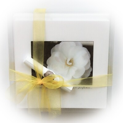 Vineyard Series Note Cards