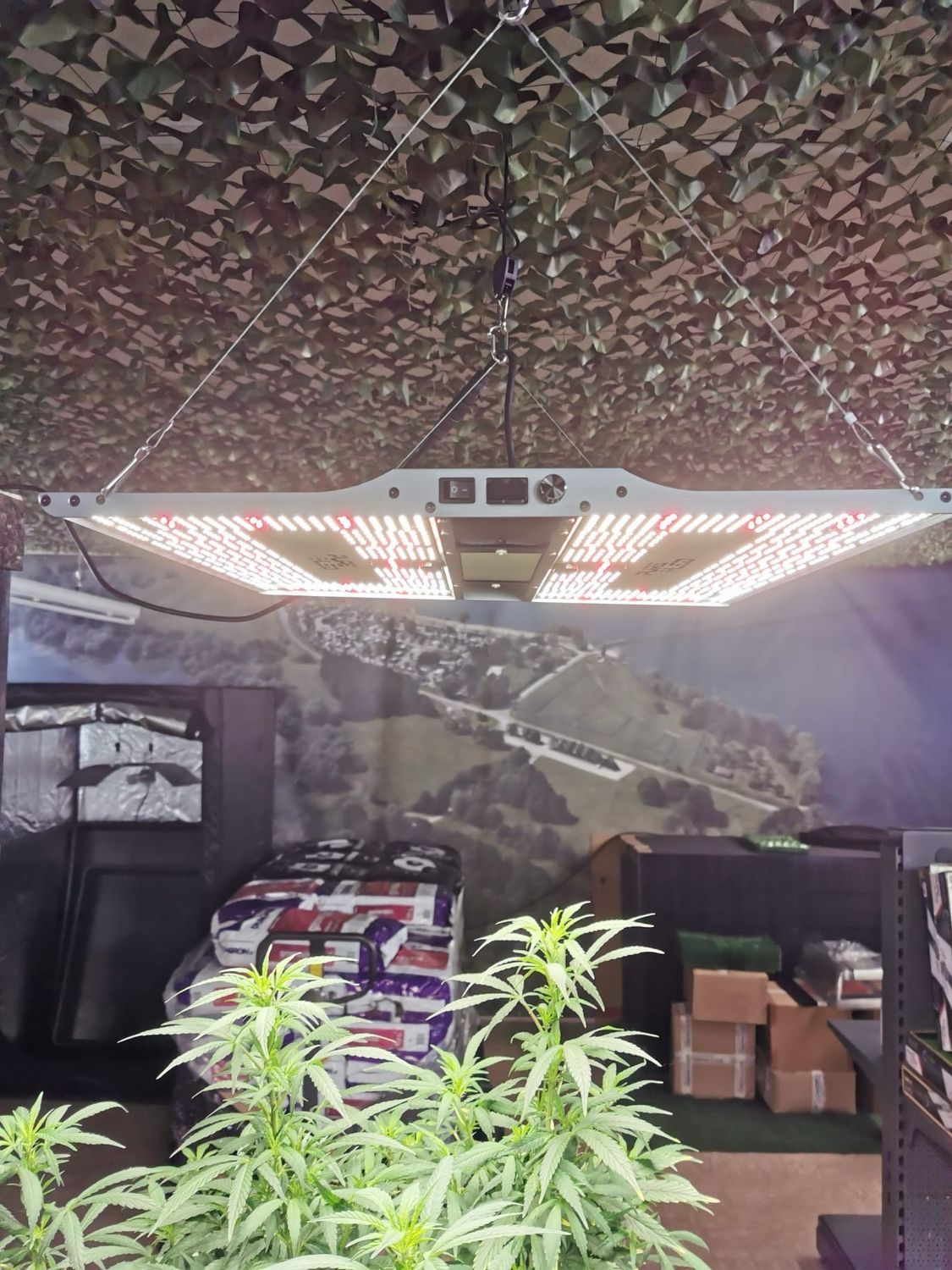 Pure led quantum Board q320 v2, 320w