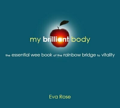 My Brilliant Body- the essential wee book of the rainbow bridge to vitality (pdf format)