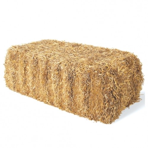 Straw Bale