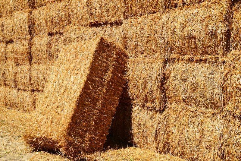 Straw Bales