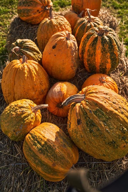 Pumpkins