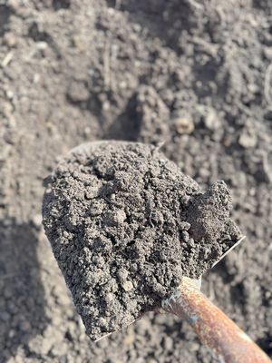 Fill Dirt - BY THE YARD