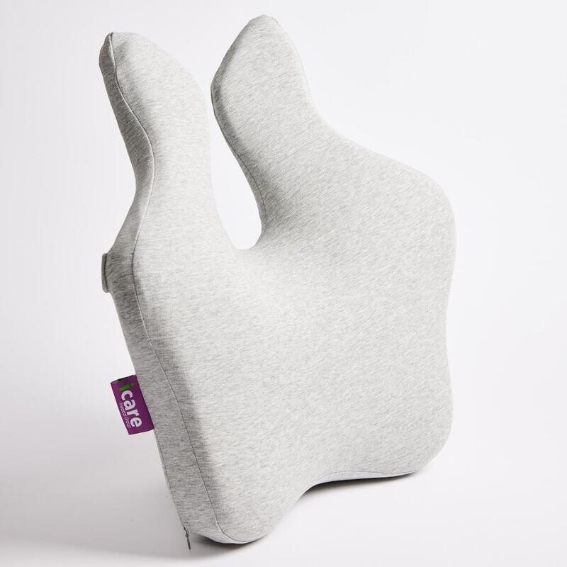 Icare Reform Full Back Support