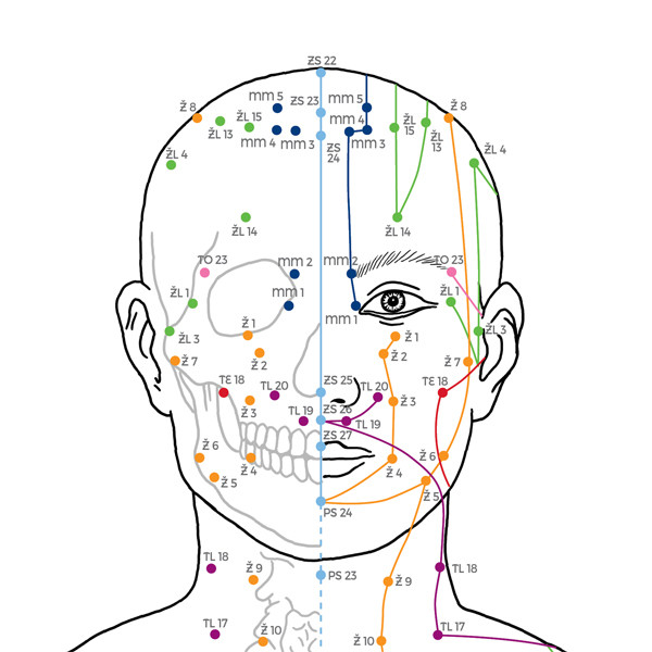 Klasické akupresurní a akupunkturní mapy těla