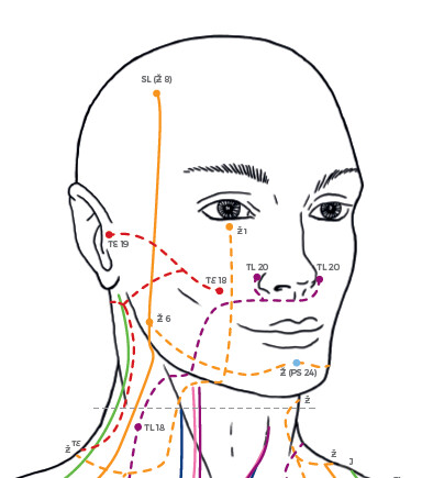Masunagovy mapy meridiánů a diagnostických zón