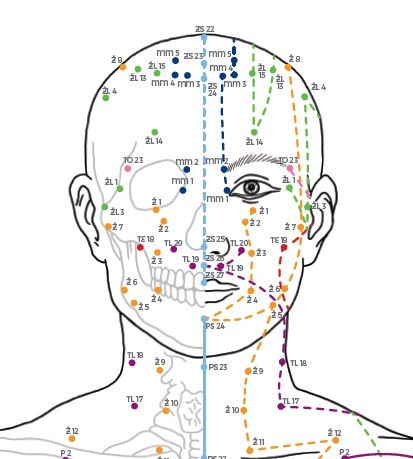 Klasické akupresurní a akupunkturní mapy těla