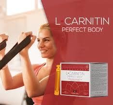 L-Carnitina perfect body