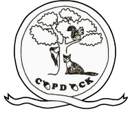 Copdock Primary School - Autumn Term 2 2022 - Tuesday