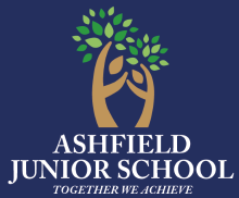 Summer Challenge for Ashfield Juniors Cumbria pupils (At Home)