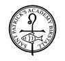 St Patrick’s Catholic Primary Academy, Birstall - Years 5 - 6, Birstall - ART CLUB - Summer Term 2025 - Monday