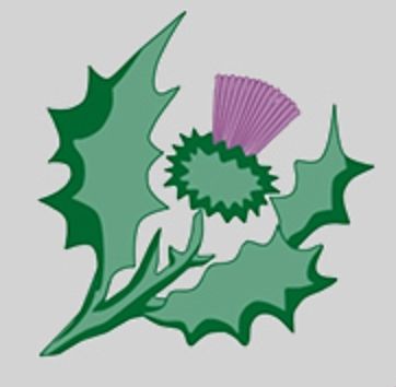 St Margaret’s Academy, Torquay - Summer Term 1 2026 - Tuesday