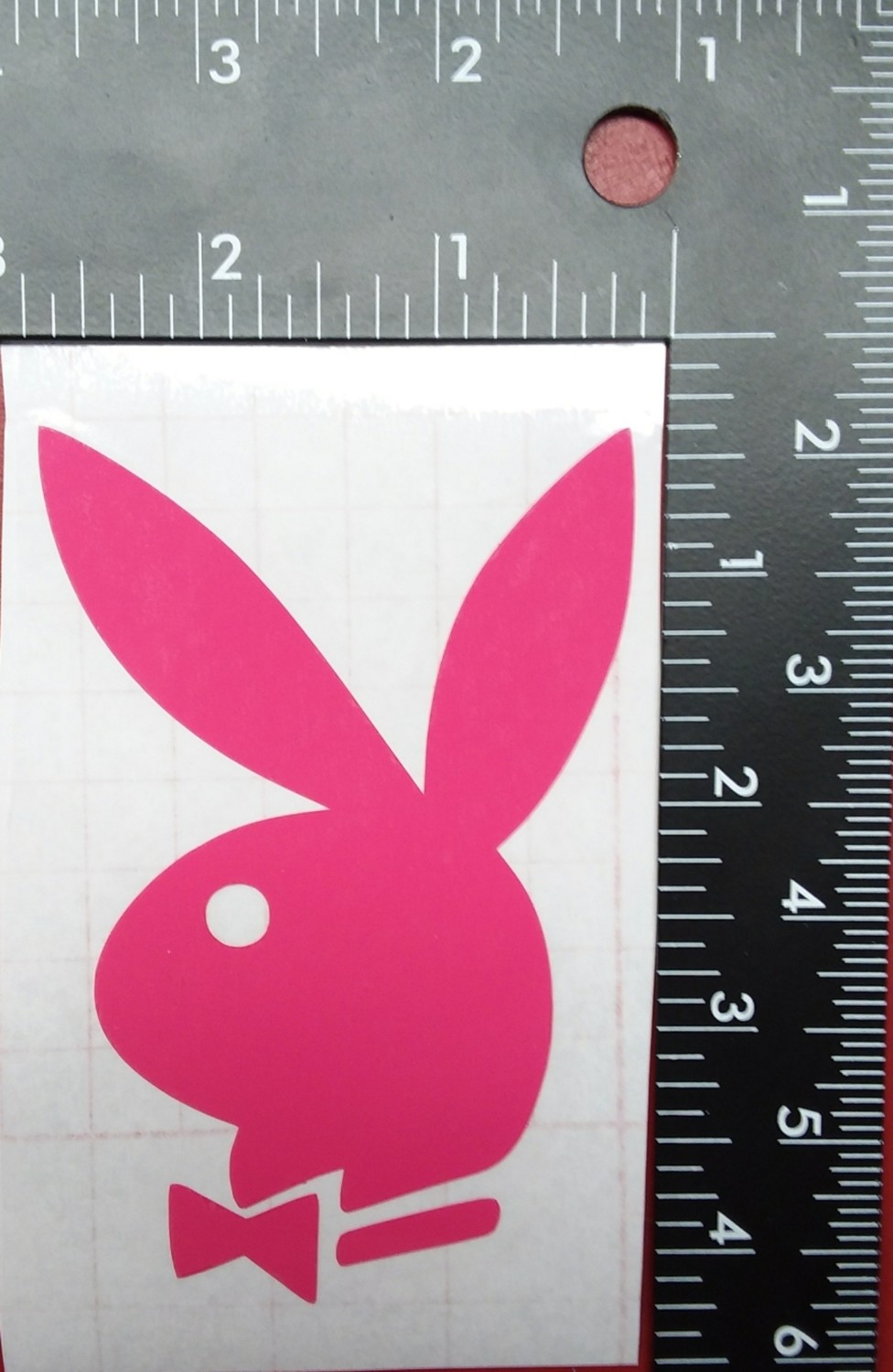 Playboy bunny