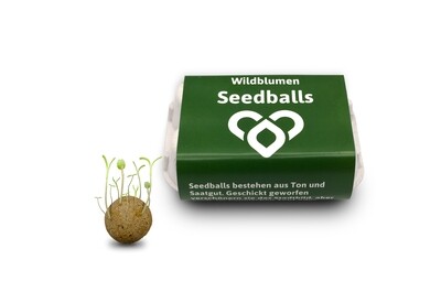 Seedballs Bienen & Schmetterlinge (6 Stück)
