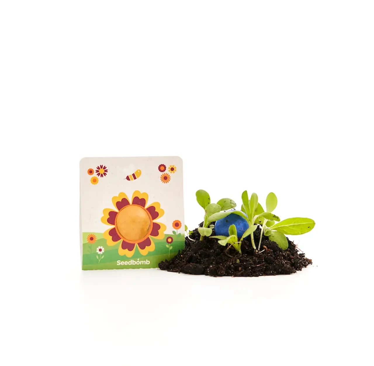 Blumenmurmel im Papierträger