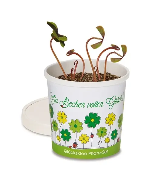 Glücksklee im Becher