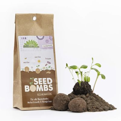 Seedbombs im Teebeutel (5 Stück)