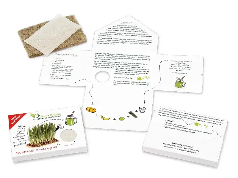 Superfoods Weizengras-Saatset