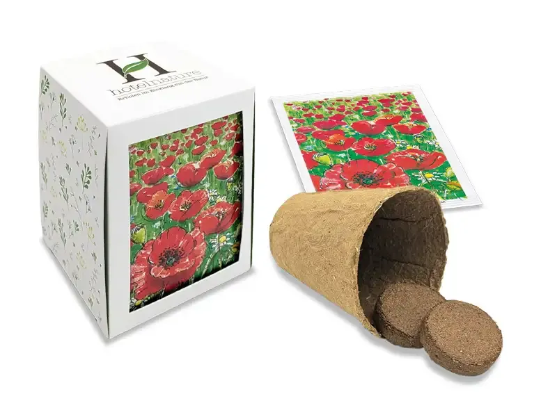 Würfel Pflanzenset