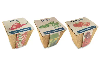 Gemüse Pflanzset