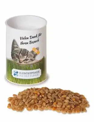 Katzengras Saat-Werbetrommel