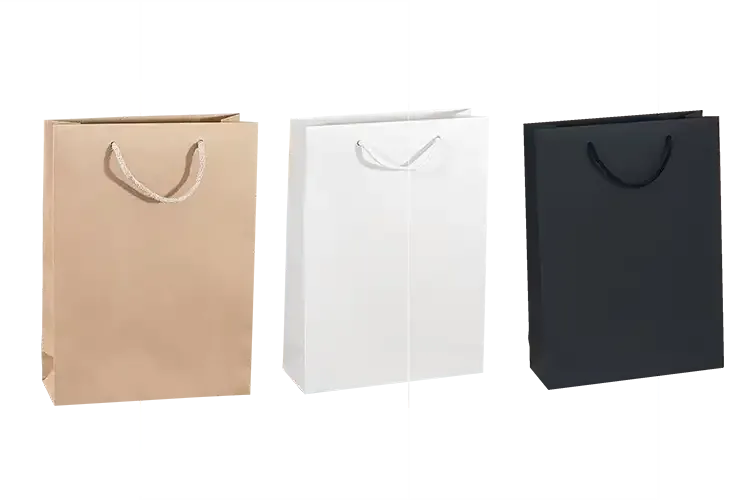 Papiertasche 24 x 9 x 33cm