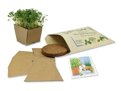 Kresse Samen Pflanzset - Wünsch-dir-was-Tüte