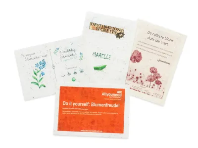 Saatgutpapier A6 -  80g/m²