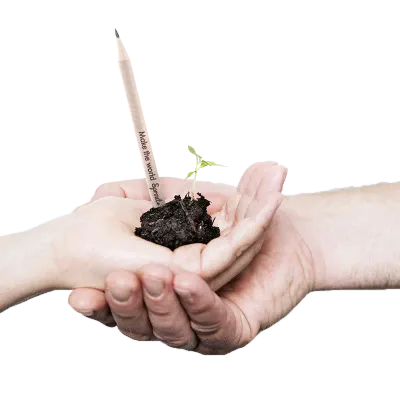 Sprout Bleistift (1 Stück)