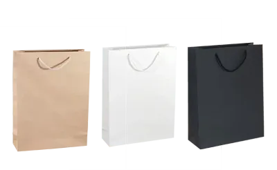 Papiertasche 30 x 10 x 40cm