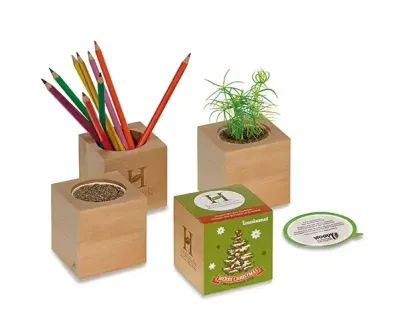 Woody - Werbewürfel aus Holz Woody - Werbewürfel aus Holz als Anzuchtset inklusive eigenem Design als Werbegeschenk mit Logo