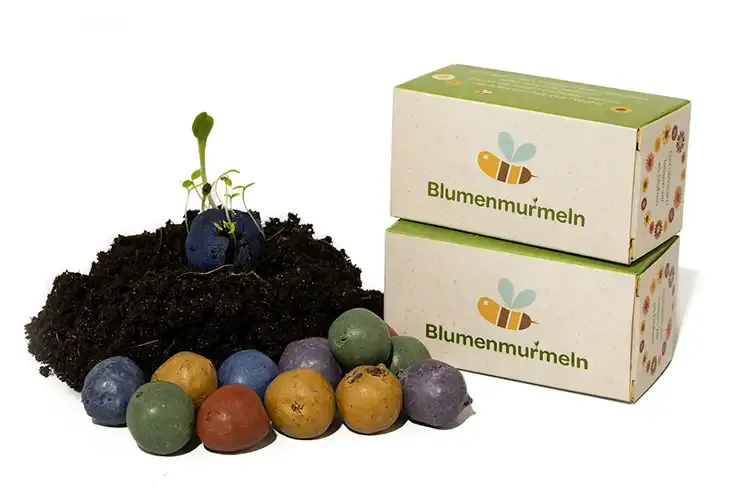Bunte Seedbombs / Saatkugeln in Faltschachtel mit Logo als Werbemittel