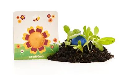 Blumenmurmel im Papierträger Bunte Seedbombs / Saatkugeln in Trägerkarte mit Logo als Werbemittel