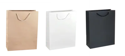 Papiertasche 32 x 13 x 42cm Papiertasche 32 x 13 x 42cm