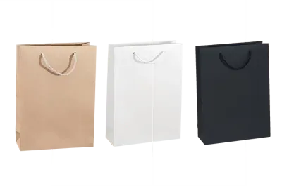 Papiertasche 24 x 9 x 33cm Papiertasche 24 x 9 x 33cm