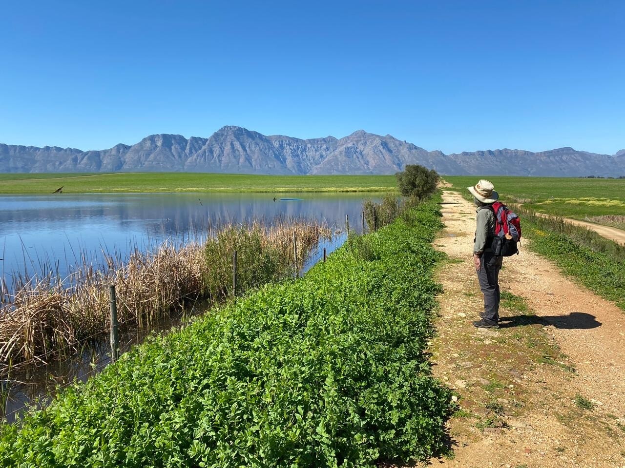 13-Day Cape Camino: Wine, Farm, Community, Countryside