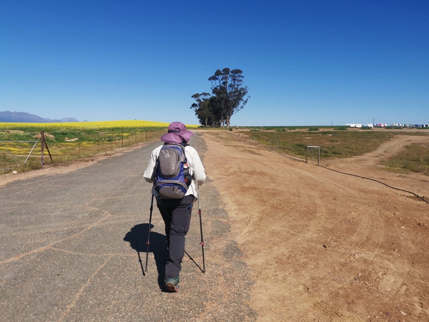 Design your own Camino. Walk Your Way.