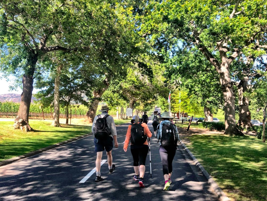 9-Day: Cape Town Peninsula (5-14 April 2026)