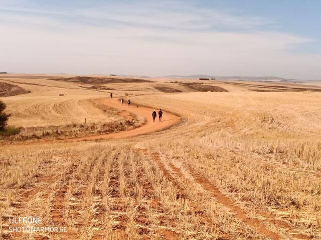 16-Day Cape Camino: Lite