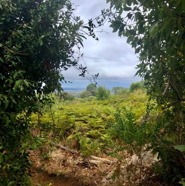 6-Day Disability Camino (5-11 Jul 2025)