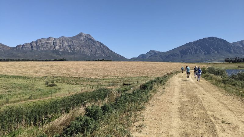 10-Day Community, Sandveld, Coastal (3-13 Sep 2025)