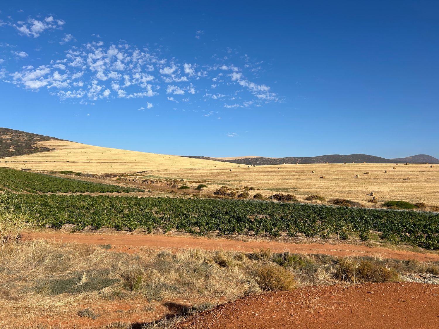 6-Day: Wine Lands (8-14 Mar 2026)