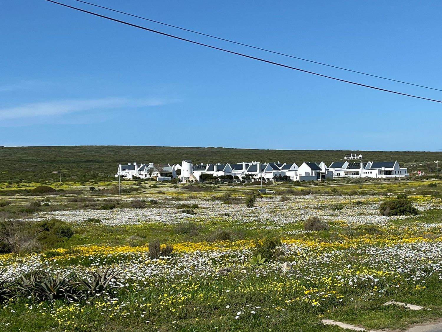 5-Day Cape Camino: Coastal Wildflower: Lite