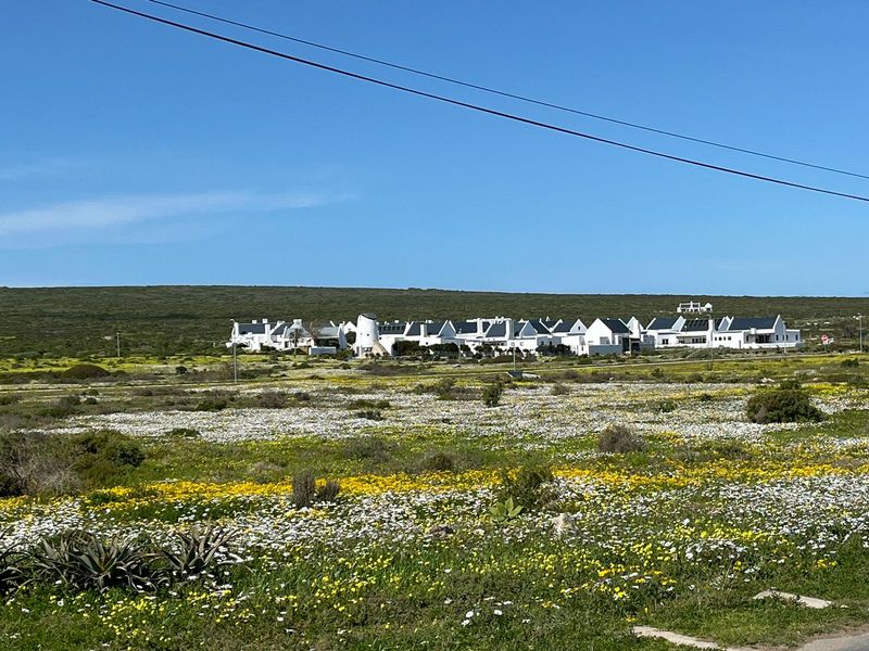 5-Day Cape Camino: Coastal Wildflower: Lite
